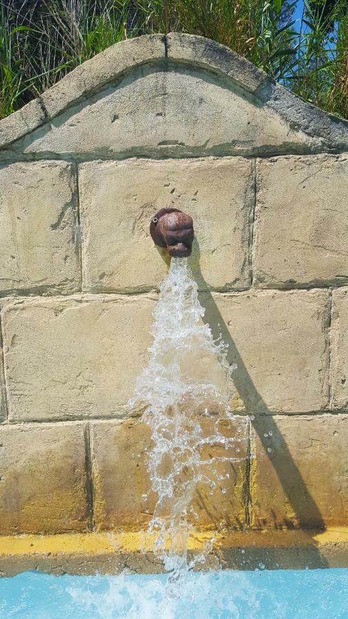 Le Jas Des Parpaillous Appartement LʼIsle-sur-la-Sorgue Buitenkant foto